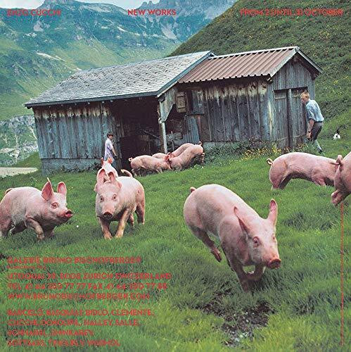 147 Backcovers. Summer Fall Winter Spring Anzeigen Galerie Bischofberger By Peter Fischli und Hilar Stadler: Ausst. Kat. Museum im Bellpark, Kriens, 2018