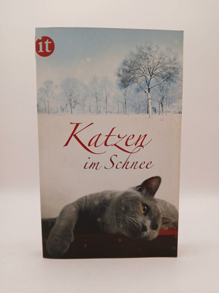 Katzen im Schnee: Originalausgabe (insel taschenbuch)