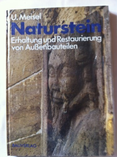 Naturstein - Erhaltung und Restaurierung von Aussenbauteilen: Ein Handbuch für Architekten, Bauingenieure, Steinmetzen und Denkmalpfleger