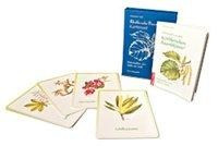 Körblersche Baumblüten® Kartenset