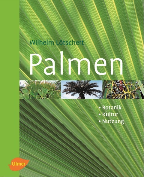 Palmen