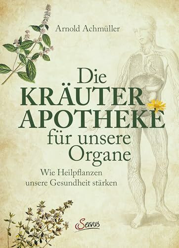 Die Kräuter-Apotheke für unsere Organe: Wie Heilpflanzen unsere Gesundheit stärken