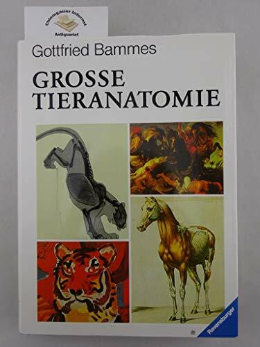 Die grosse Tieranatomie: Geschichte, Kunst, Anatomie