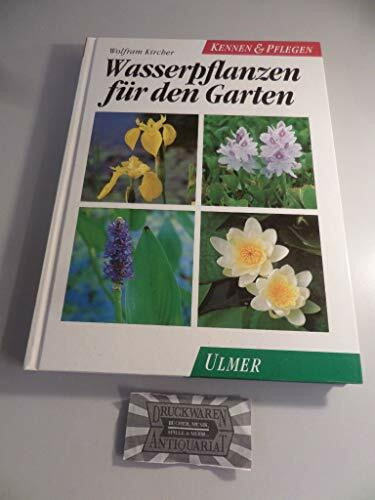 Wasserpflanzen für den Garten: Die besten Sumpf- und Wasserpflanzen für den Gartenteich (Kennen & Pflegen)