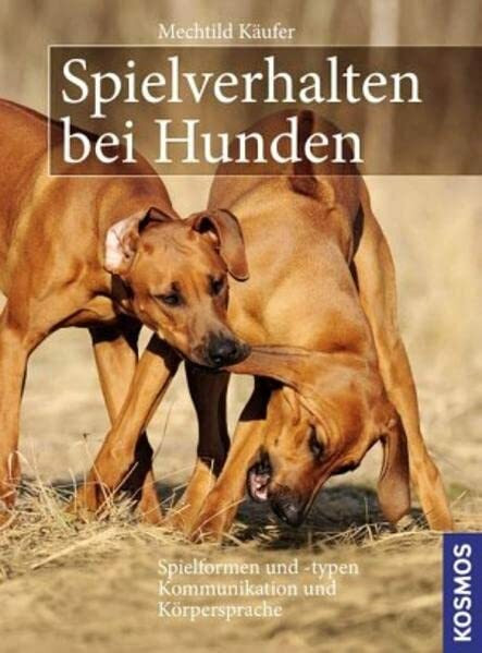 Spielverhalten bei Hunden: Spielformen und -typen. Kommunikation und Körpersprache