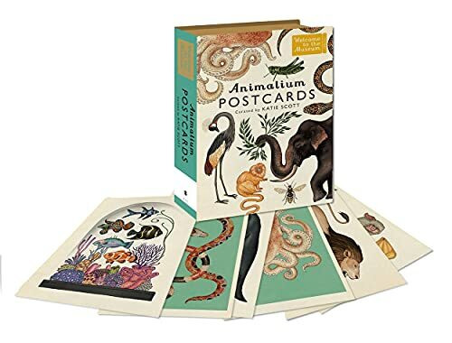 Animalium Postcards: (Welcome To The Museum)