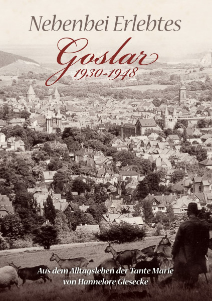 Nebenbei Erlebtes: Goslar 1930-1948. Aus dem Alltagsleben der Tante Marie