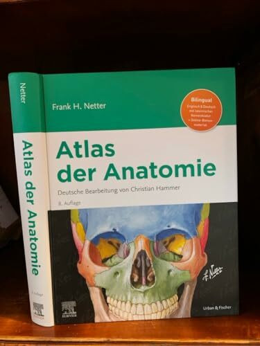 Netter Atlas der Anatomie: Deutsche Bearbeitung von Christian Hammer (VORKLINIK - Lehrbuch - Urban & Fischer-Verlag)