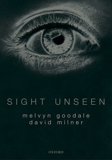 Sight Unseen: An Exploration Of Conscious And Unconscious Vision