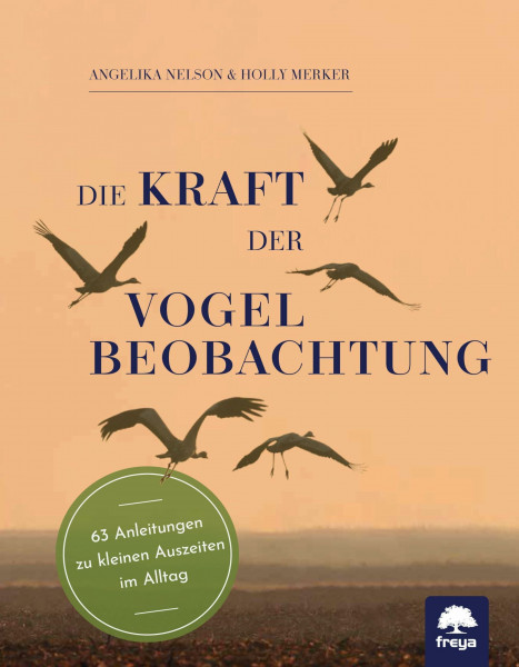 Die Kraft der Vogelbeobachtung: 63 Anleitungen zu kleinen Auszeiten im Alltag