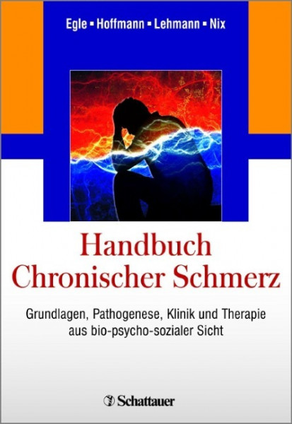 Handbuch Chronischer Schmerz
