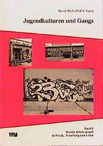 Jugendkulturen und Gangs: Eine Betrachtung zur Raumaneignung und Raumverdrängung, nachgewiesen an Entwicklungen in den neuen Bundesländern und den USA