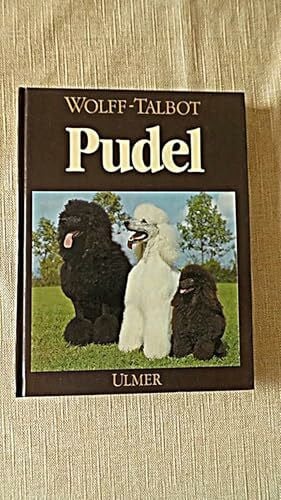 Pudel