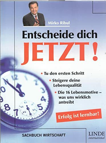 Entscheide dich jetzt! Erfolg ist lernbar: Tu den ersten Schritt, Steigere deine Lebensqualität - Die 16 Lebensmotive - was uns wirklich antreibt