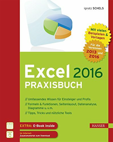 Excel 2016 Praxisbuch: Von der ersten Tabellenkalkulation bis hin zur Nutzung von ODBC und Power Pivot