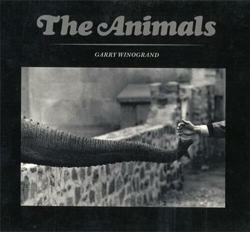 The Animals