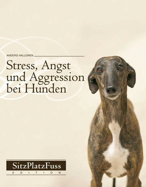 Stress, Angst und Aggression bei Hunden: Vorbeugen und abbauen