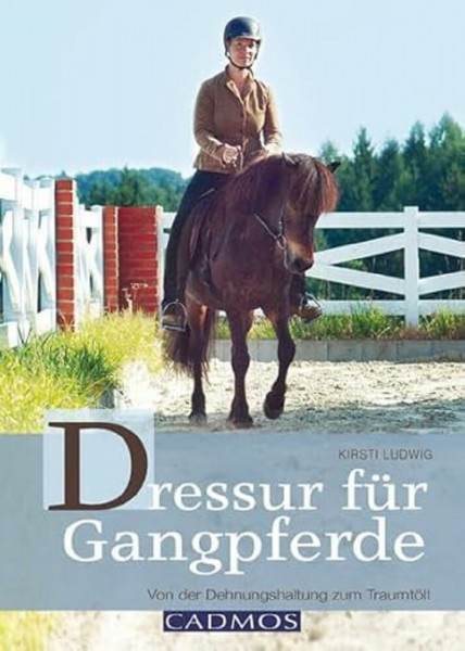 Dressur für Gangpferde: Von der Dehnungshaltung zum Traumtölt