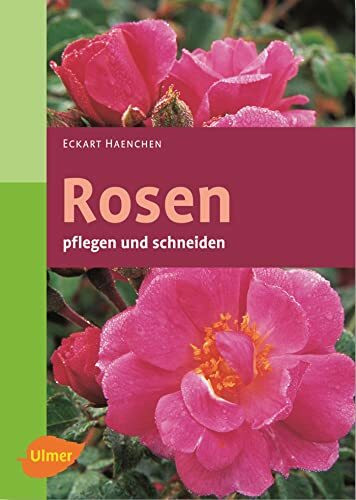 Rosen pflegen und schneiden (Garten-Ratgeber)