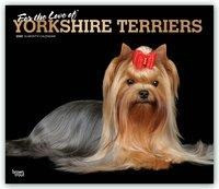Yorkshire Terriers - For the Love of - Yorkies 2020 - 18-Monatskalender mit freier DogDays-App