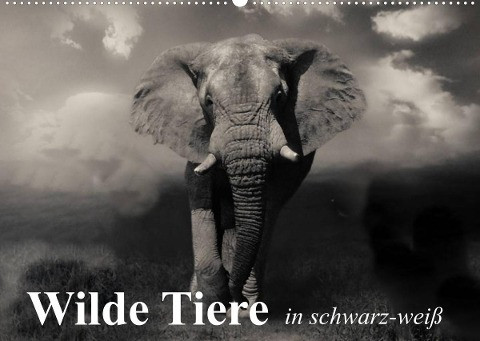 Wilde Tiere in schwarz-weiß (Wandkalender 2022 DIN A2 quer)