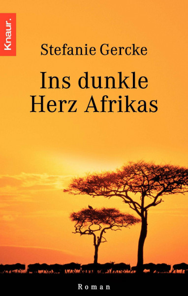 Ins dunkle Herz Afrikas: Roman
