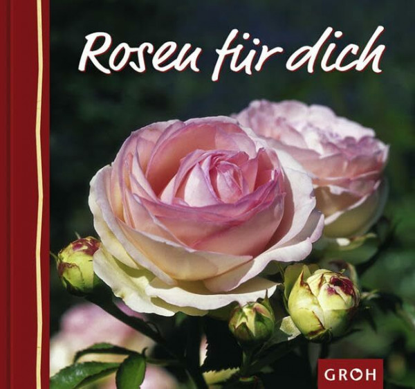 Rosen für dich (Blumengrüsse für dich)