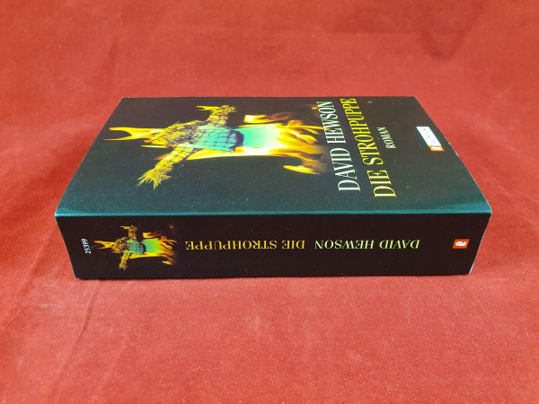 Die Strohpuppe (Ullstein Belletristik)
