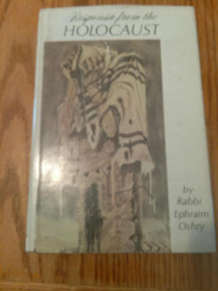 Responsa from the Holocaust