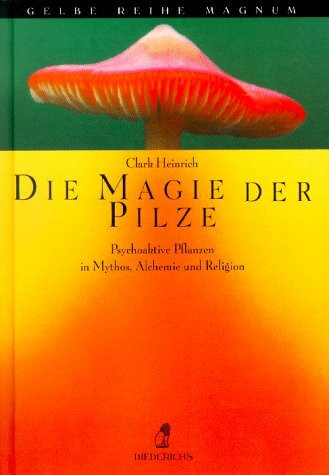 Die Magie der Pilze