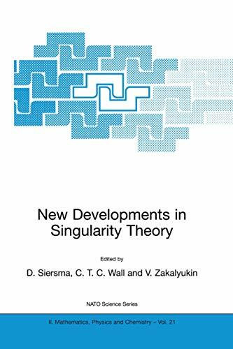 New Developments in Singularity Theory (NATO Science Series II: Mathematics, Physics and Chemistry, 21, Band 21)