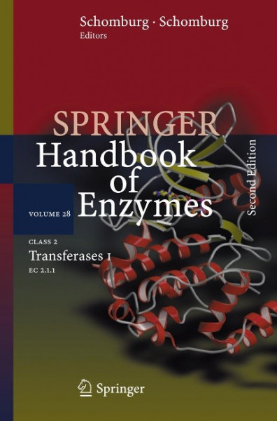 Class 2 - Transferases 01