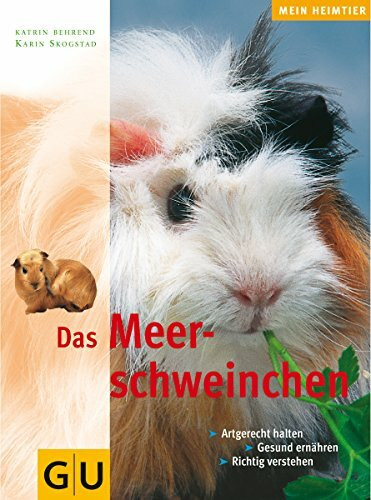 Meerschweinchen, Das