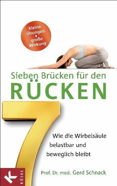 Sieben Brücken für den Rücken: Wie die Wirbelsäule belastbar und beweglich bleibt. - Kleine Übungen – große Wirkung