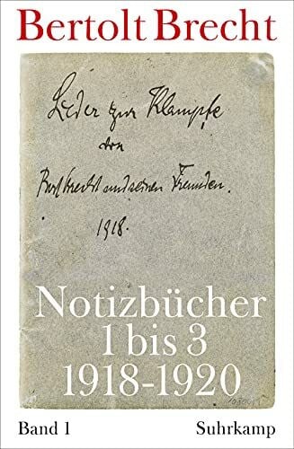 Notizbücher: Band 1: 1918-1920