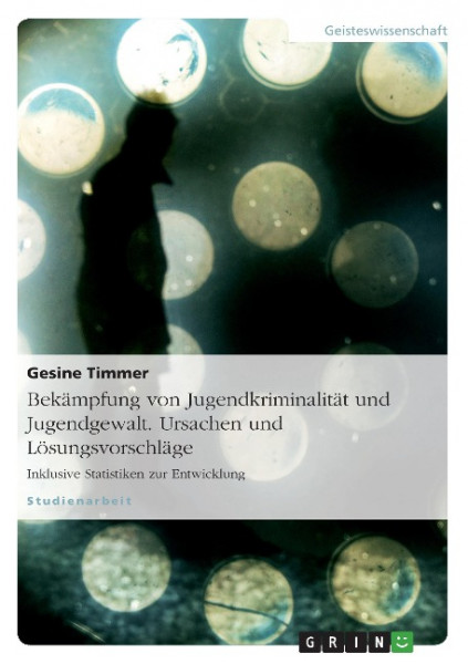 Bekämpfung von Jugendkriminalität und Jugendgewalt. Ursachen und Lösungsvorschläge