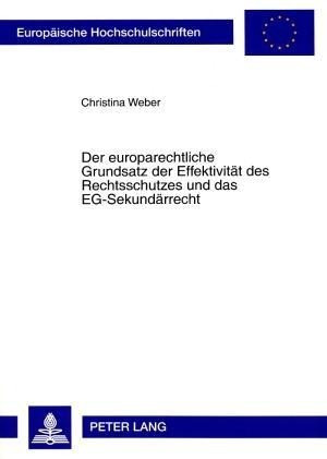 Der europarechtliche Grundsatz der Effektivität des Rechtsschutzes und das EG-Sekundärrecht