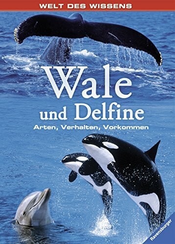 Wale und Delfine: Arten, Verhalten, Vorkommen (Welt des Wissens)