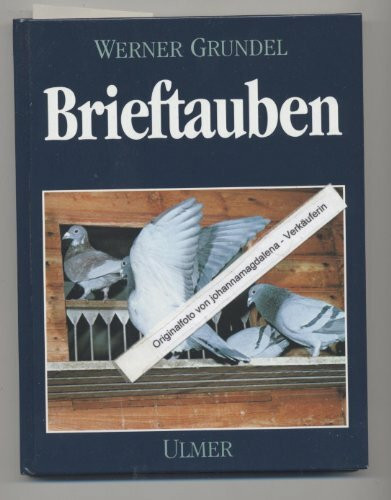 Brieftauben