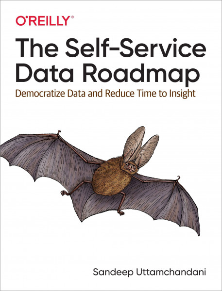Self-Service Data Roadmap, The