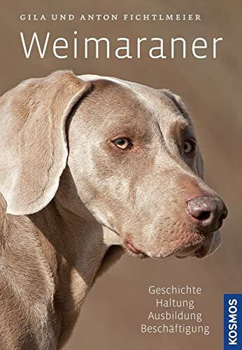 Weimaraner: Geschichte, Haltung, Ausbildung, Beschäftigung: Geschichte, Haltung, Ausbildung, Zucht