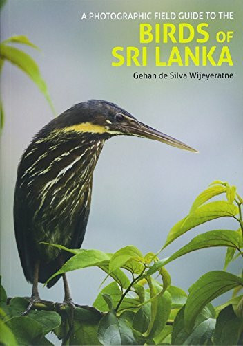 A Photographic Field Guide to the Birds of Sri Lanka