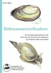 Süsswassermollusken