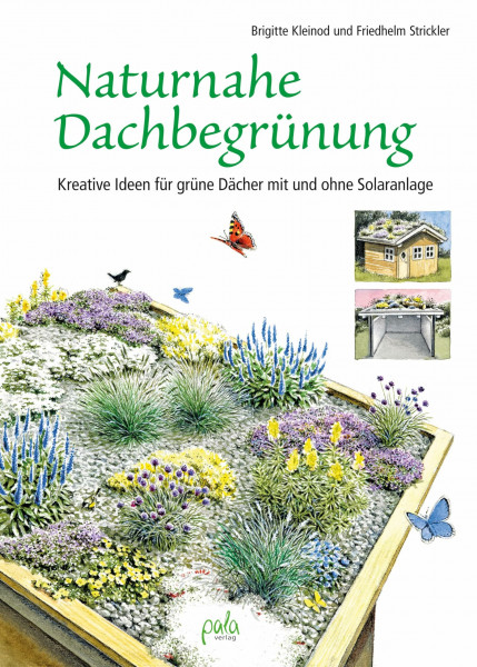 Unser blühendes Dach: Naturnahe Dachbegrünung mit und ohne Solaranlage für mehr Biodiversität und Klimaschutz