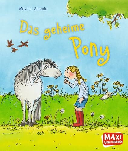 Das geheime Pony (MAXI Bilderbuch)