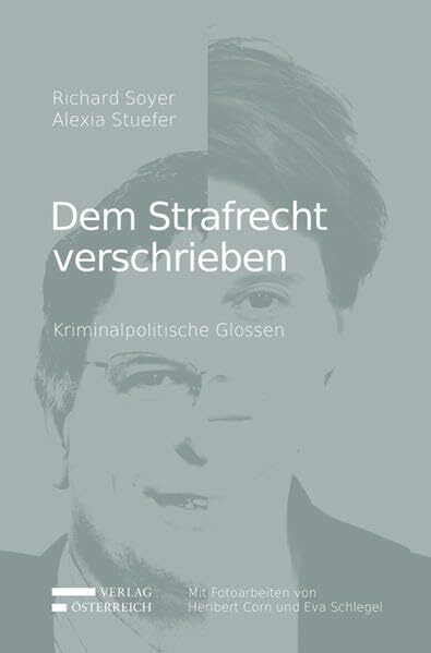 Dem Strafrecht verschrieben: Kriminalpolitische Glossen