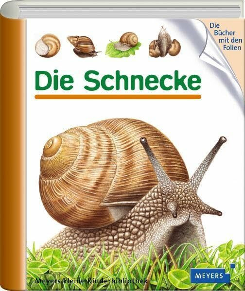 Die Schnecke: Ab 3 Jahren (Meyers kleine Kinderbibliothek)