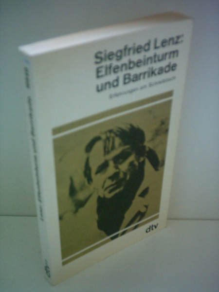 Elfenbeinturm und Barrikade: Erfahrungen am Schreibtisch (dtv Literatur)
