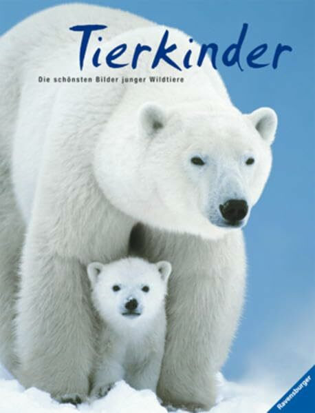 Tierkinder: Die schönsten Bilder junger Wildtiere