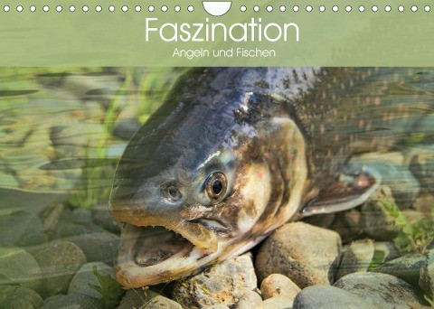 Faszination Angeln und Fischen (Wandkalender 2022 DIN A4 quer)